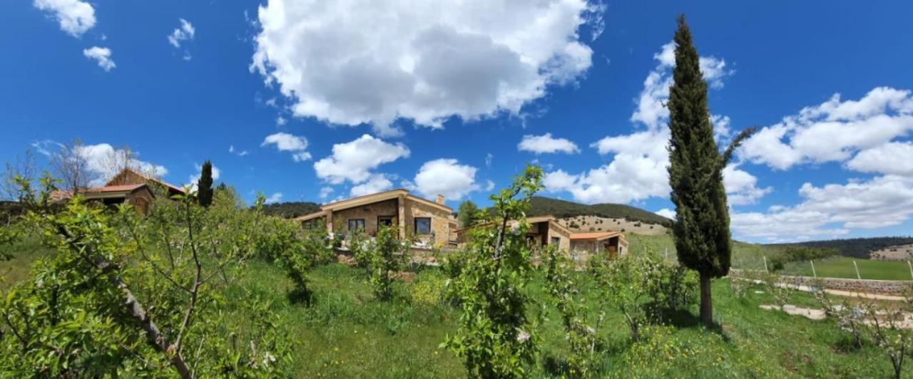 Chalets-Appartements Tourtite 伊夫兰 外观 照片
